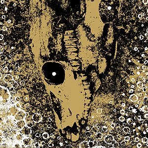 Our Circle Is Vicious Album Cover Art