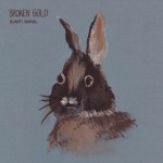 Broken Gold Recovery Journal