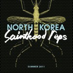 North Korea 2011 Tour with Sainthood Reps