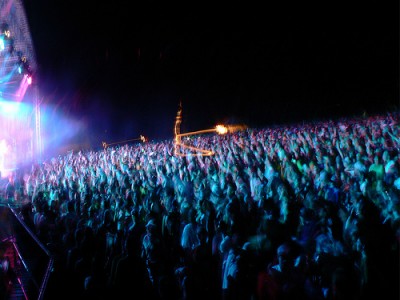 Camp Bisco Experience