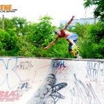 Skating - FDR skatepark -  Philly Punx Picnic 2011 (13)