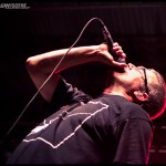 The Descendents - Riot Fest East by Dante Torrieri The Descendents - Riot Fest East by Dante Torrieri
