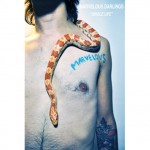 Marvelous Darlings - Single Life