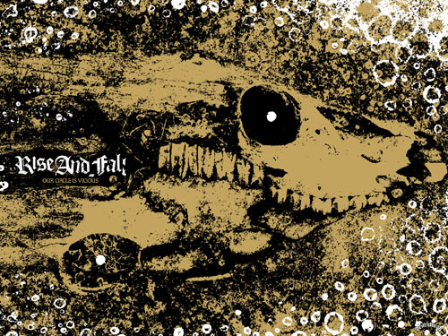 rise and fall album cover