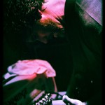Hot Water Music band live at The First Unitarian Church in Philadelphia