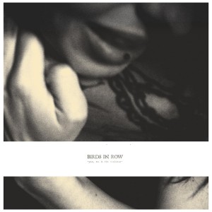 Birds In Row - You, Me, and The Violence