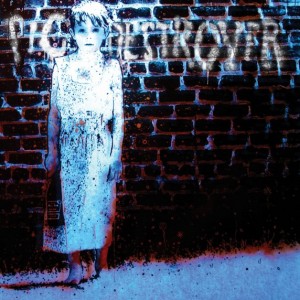 Pig Destroyer - Book Burner - Album Cover