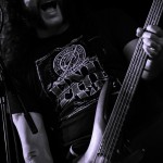 Bonded by Blood