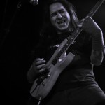 Bonded by Blood