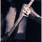 Vektor-band-0103