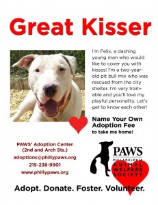 paws-adoptions