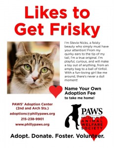 PAWS adoptions