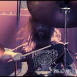the-Atlas-Moth