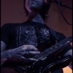 the-Atlas-Moth