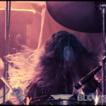 the-Atlas-Moth