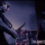 the-Atlas-Moth