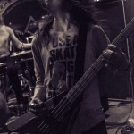 Vektor-band-022