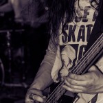 Vektor-band-029