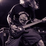 Shadows Fall