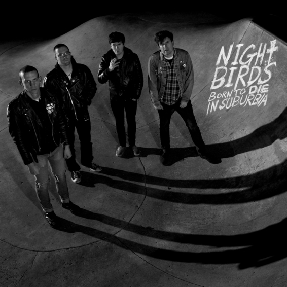 night-birds-born-to-die-in-suburbua