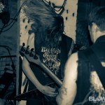 plague-dogs-band-7
