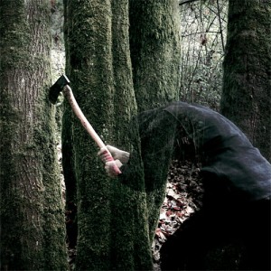baptists-bushcraft-cover