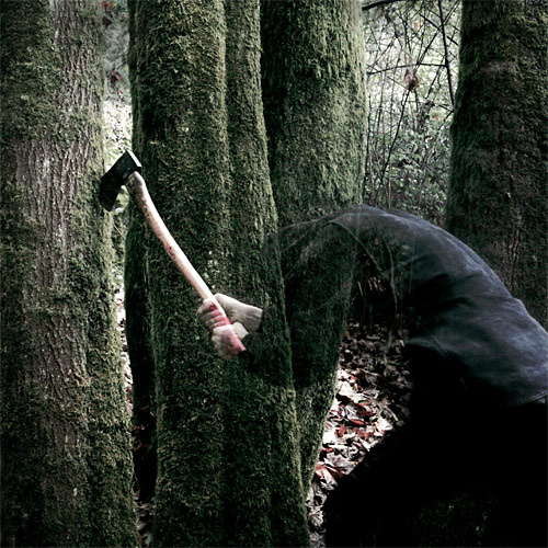 baptists bushcraft cover
