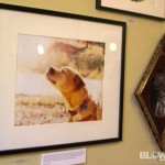 homeward-bound-philly-paws-benefit-18