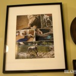 homeward-bound-philly-paws-benefit-19