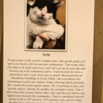 homeward-bound-philly-paws-benefit-29