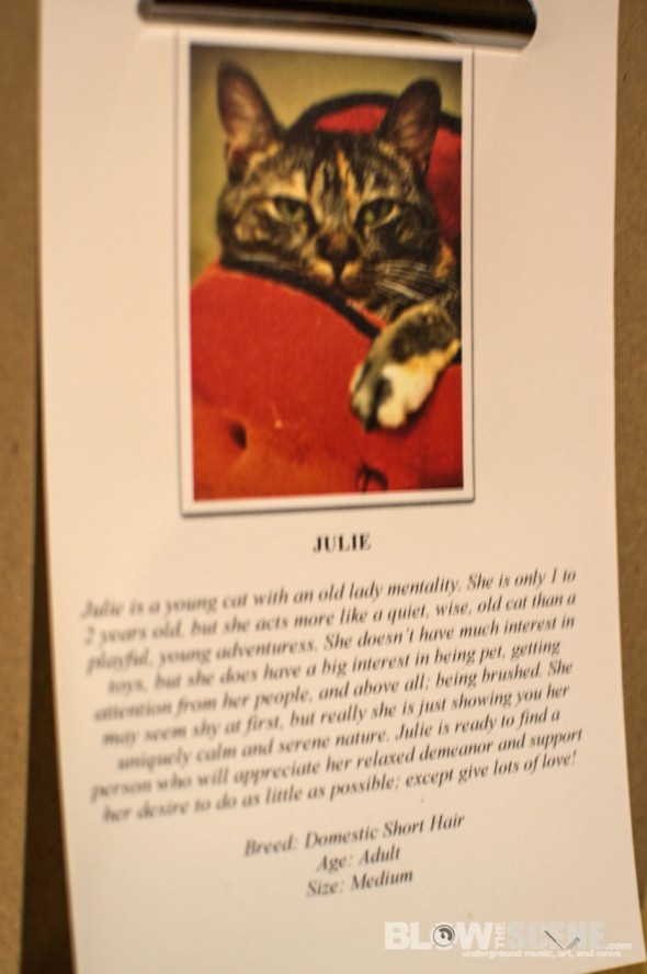 homeward-bound-philly-paws-benefit-30