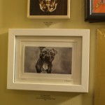 homeward-bound-philly-paws-benefit-40