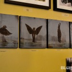 homeward-bound-philly-paws-benefit-6