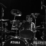 Honky-band-002