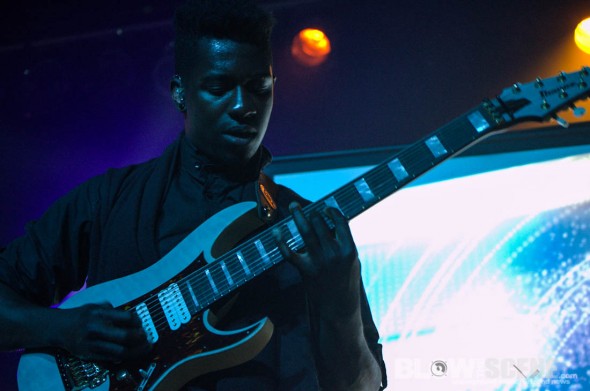 animals as leaders