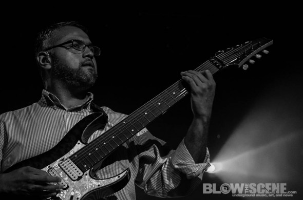 animals as leaders