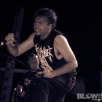cattle-decap-band-7