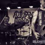 Plague-Dogs-band-008
