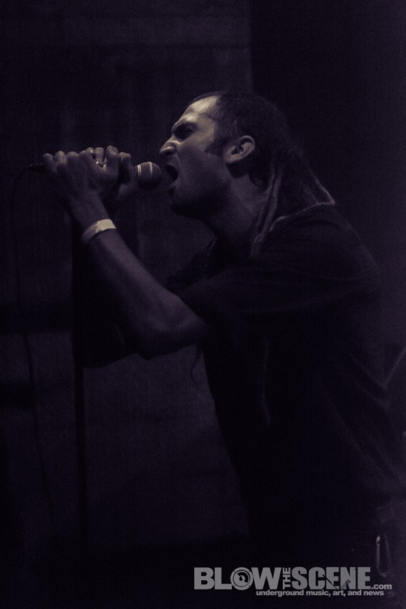 Plague-Dogs-band-010