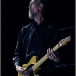 Swans-band-013