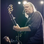 Swans-band-015