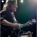 Swans-band-019