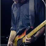 Swans-band-023