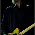Swans-band-027