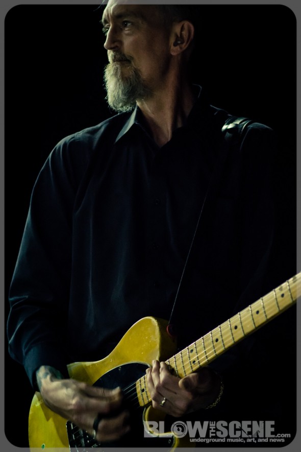 Swans band