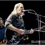 Swans-band-030