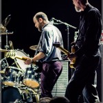 Swans-band-031