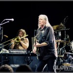 Swans-band-032