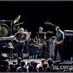 Swans-band-033