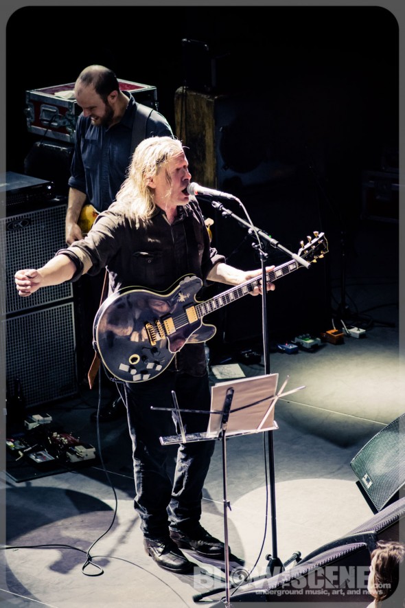 Swans band